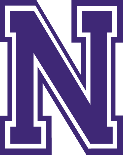 Northwestern State Demons 2000-2007 Alternate Logo diy fabric transfer